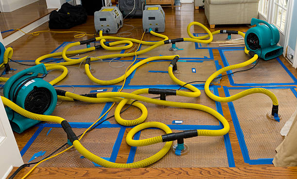 Professional Crawl Space Water Removal technician working in Holmen, WI
